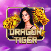 Dragon Tiger bigwin login live casino