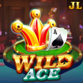 Wild Ace bigwin login slot
